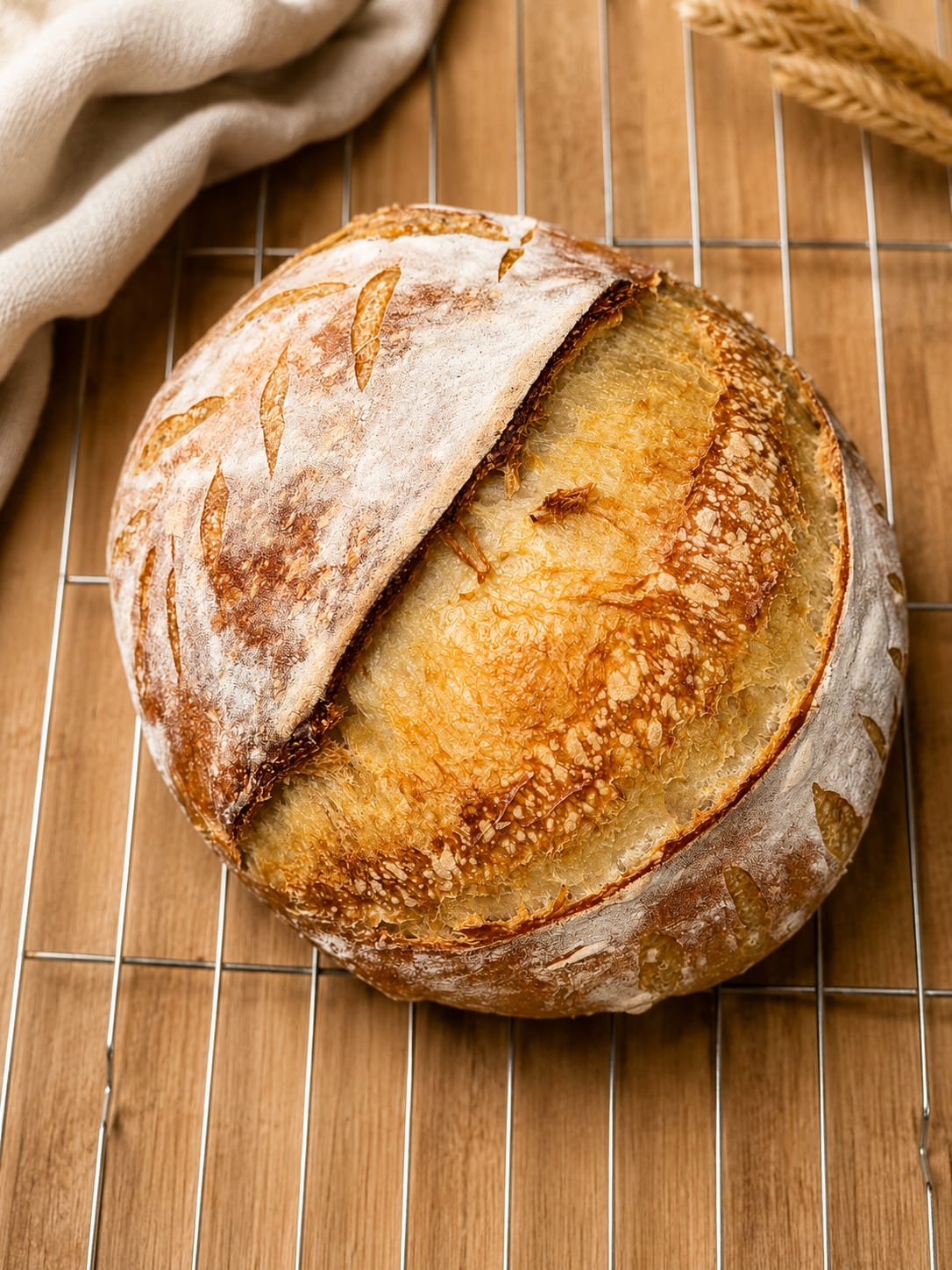 A round country sourdough loaf with a blistered, floured crust