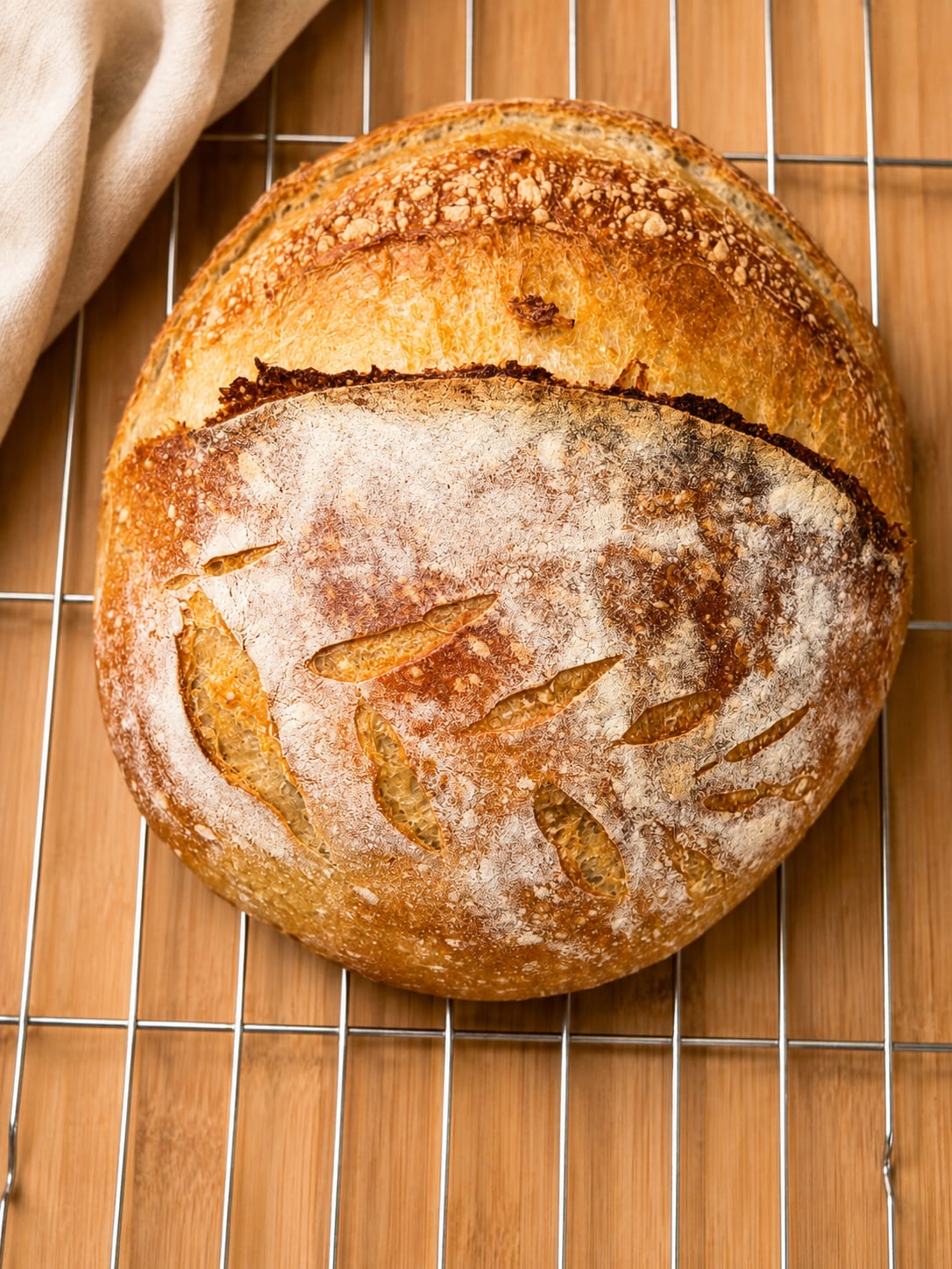 A round country sourdough loaf with a blistered, floured crust